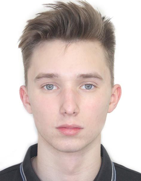 Pingin, Artem