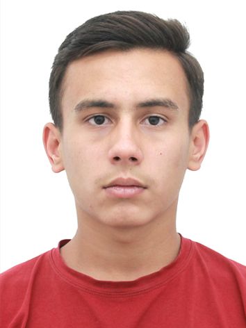 Hommadov, Amanmuhammet